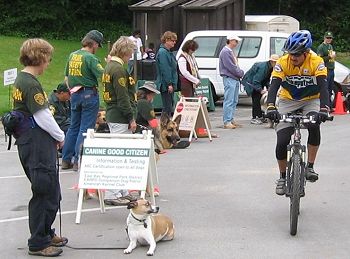 handlers and dogs during a CDP certification exercise