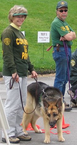 CDP member and Companion Dog