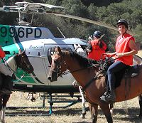 SAR members on horseback and a District helicopter